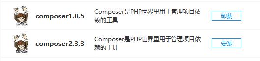 小皮面板安装