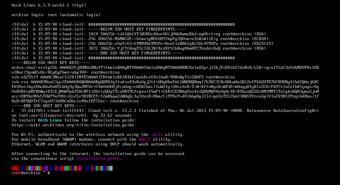 进入archlinux live系统